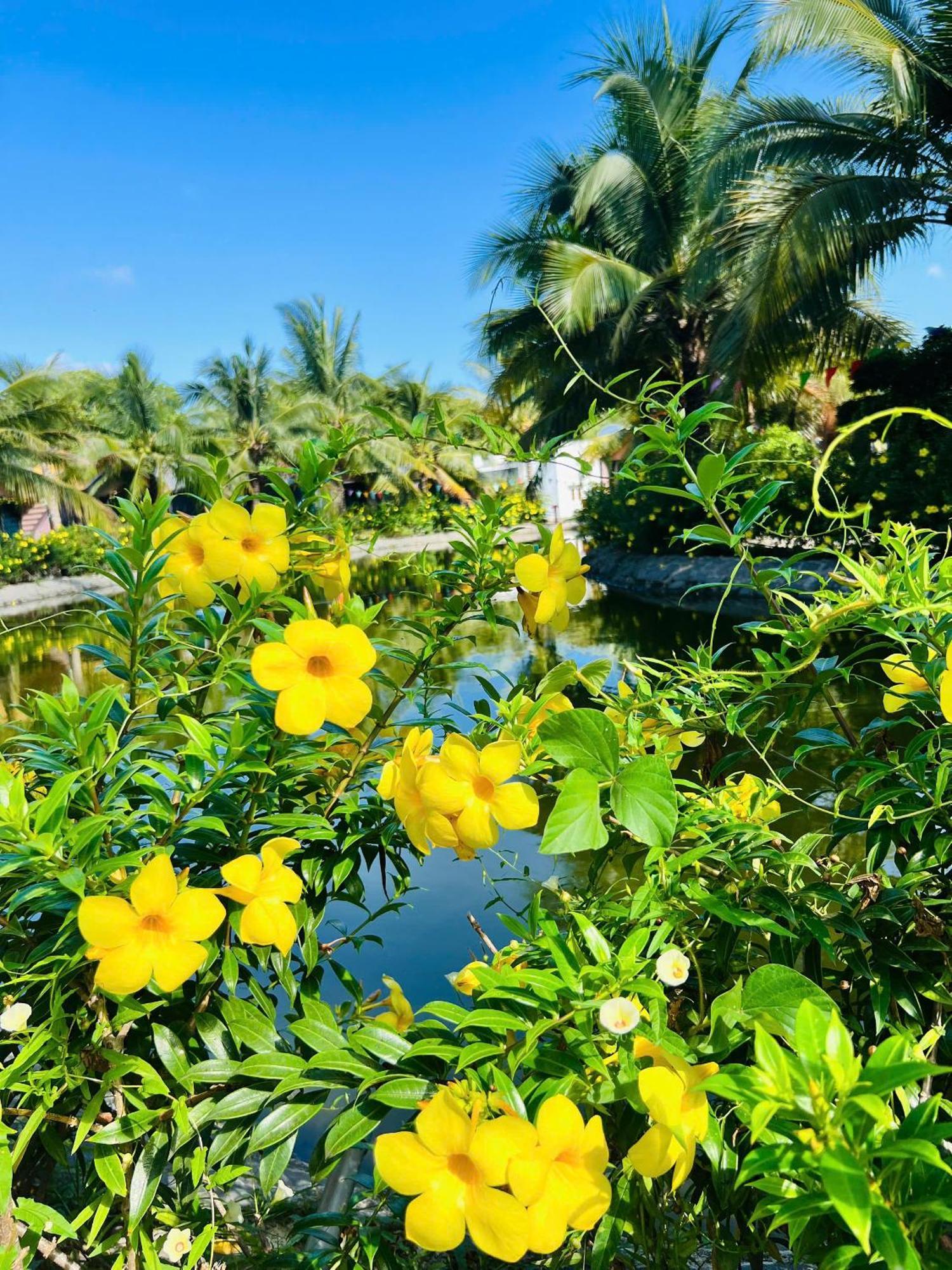 Ho Coc Park & Resort Xa Nhu Lam Exterior photo